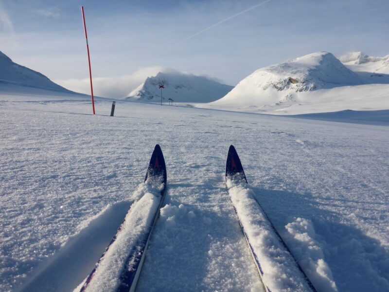 Skidor
